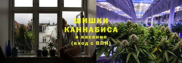 ПСИЛОЦИБИНОВЫЕ ГРИБЫ Арсеньев