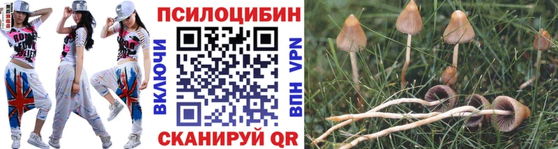 Галлюциногенные грибы MAGIC MUSHROOMS  где можно купить наркотик  МЕГА ТОР  Королёв 